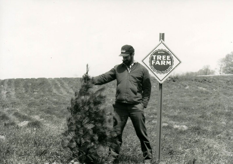 Marty Michaels and Forestry
Photo ID#: RSWCD531