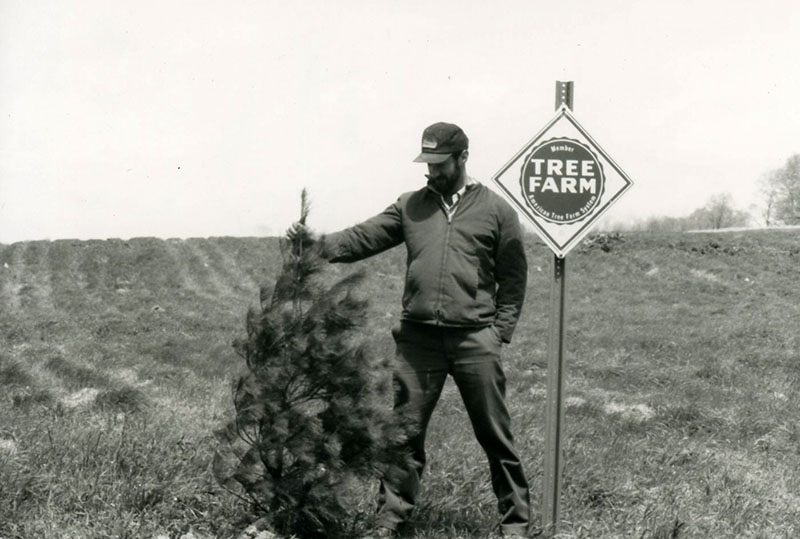 Marty Michaels
Forestry
Photo ID#: E441