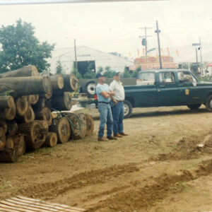 Nature_Park._Poplar_logs_for_building_website-2451