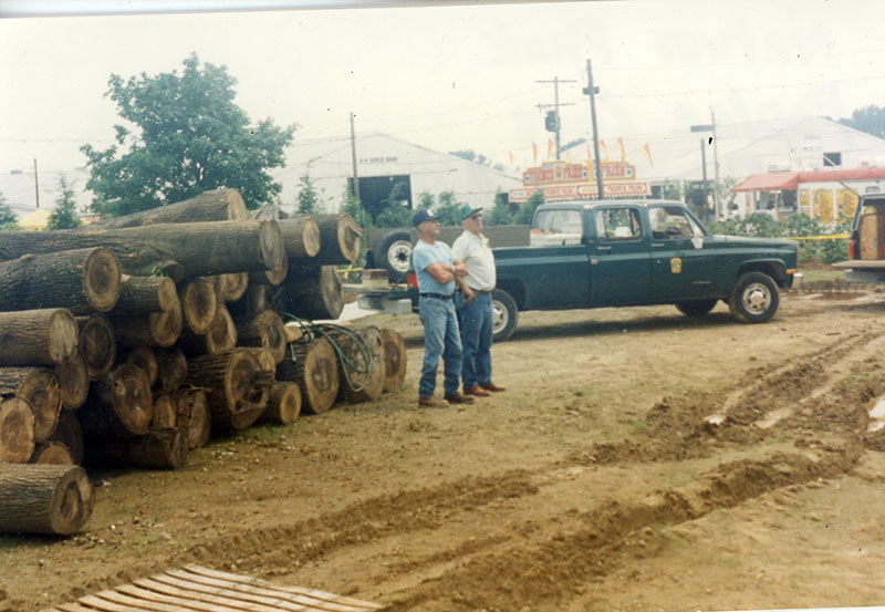 Poplar logs for building the Nature Park
Photo ID#: E378