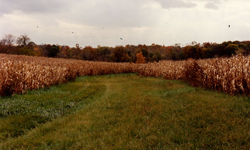 Sod waterway
Dean Cook
Photo ID#: A858