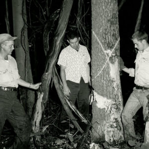 State_Farm_Forester_Jack_Basinger__center__discusses_timber_stand_improvement_with_woodland_owner_J.W._Garber__left____contractors_Paul_Joman_and_Eric_Kindig_website-3874