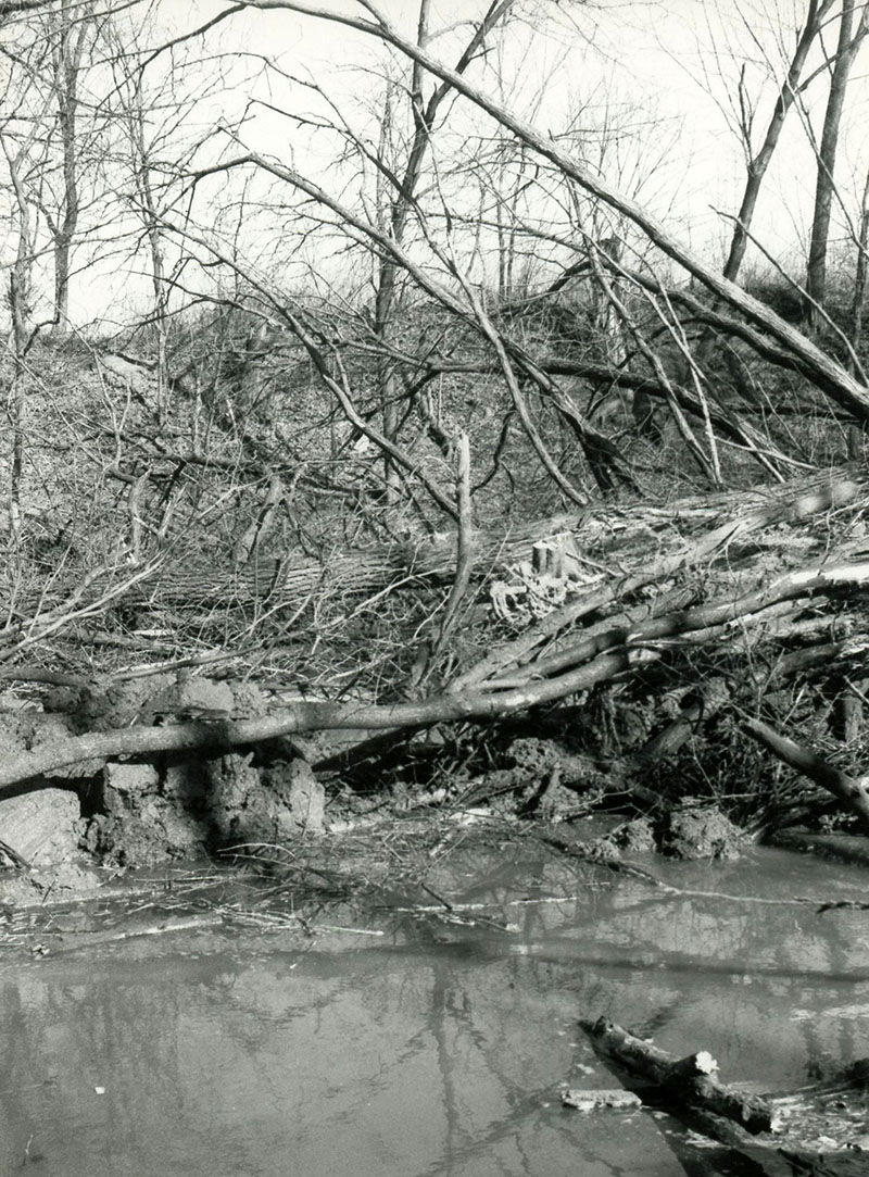 Stream bank management
Begin bioengineering on Oxbow Meander
Photo ID#: A146