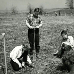 The_Scouts_worked_as_tree_planting_teams._Pictured_l_r_Russ_Haft_Denny_Paulo___Dean_Wharton_of_Ashland_Troop_512_as_they_planted_seedling_forest_trees_at_camp_Avery_Hand_Website-4978