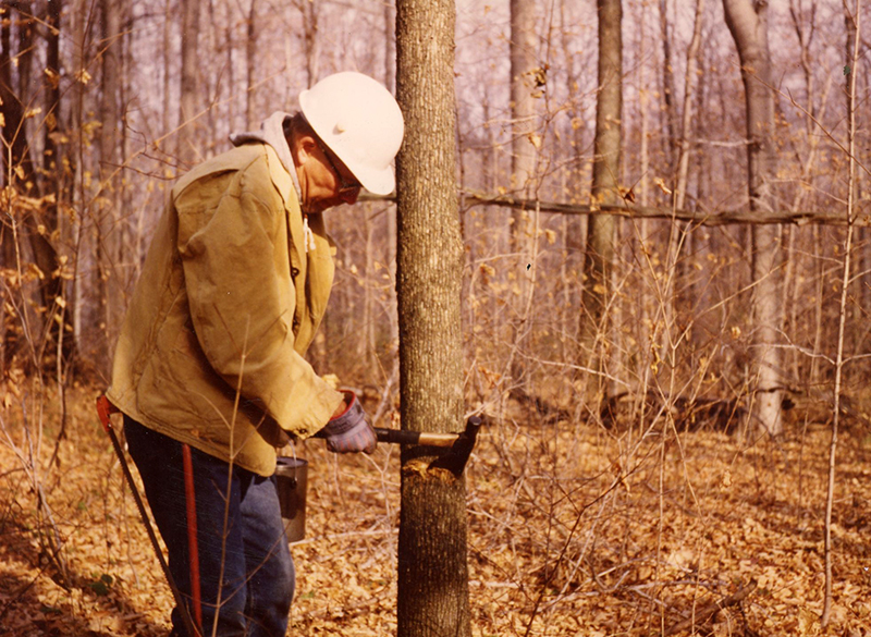 Timber Stand Improvement
Photo ID#: S223